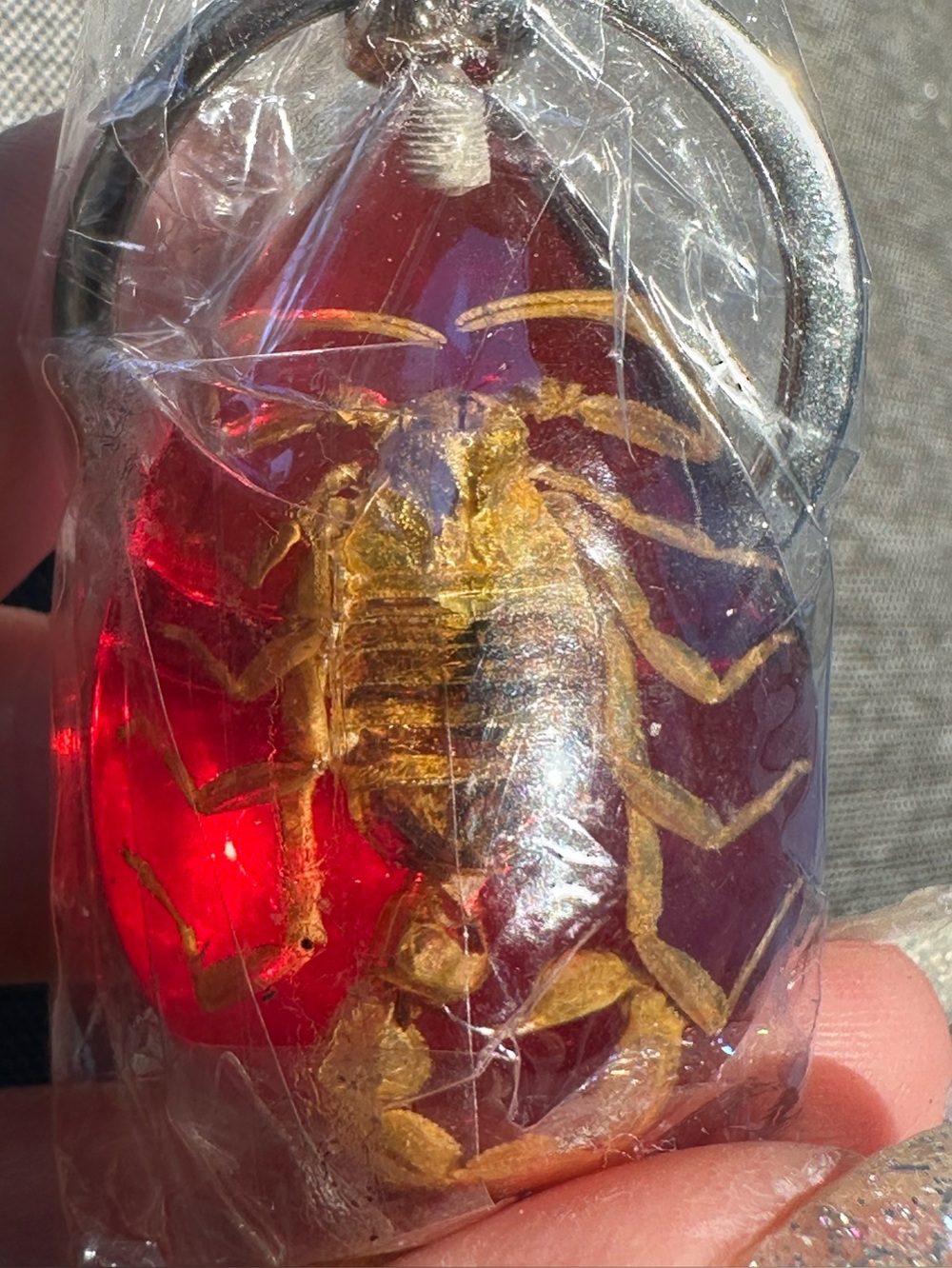 🆕 Reptile Accessory: Red Resin Keychain with Preserved Real Scorpion